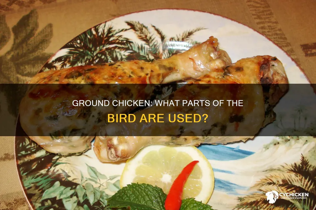 what parts of the chicken are in ground chicken