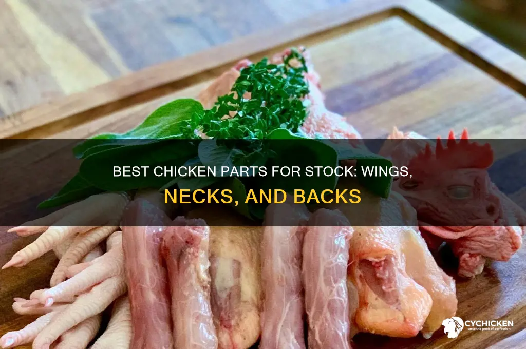 what parts of the chicken is best for stock