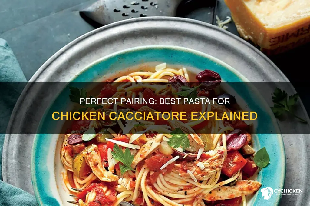 what pasta goes best with chicken cacciatore