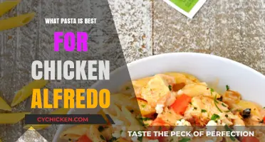 Perfect Pairing: Top Pasta Choices for Creamy Chicken Alfredo