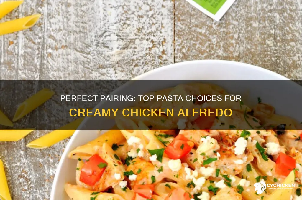what pasta is best for chicken alfredo