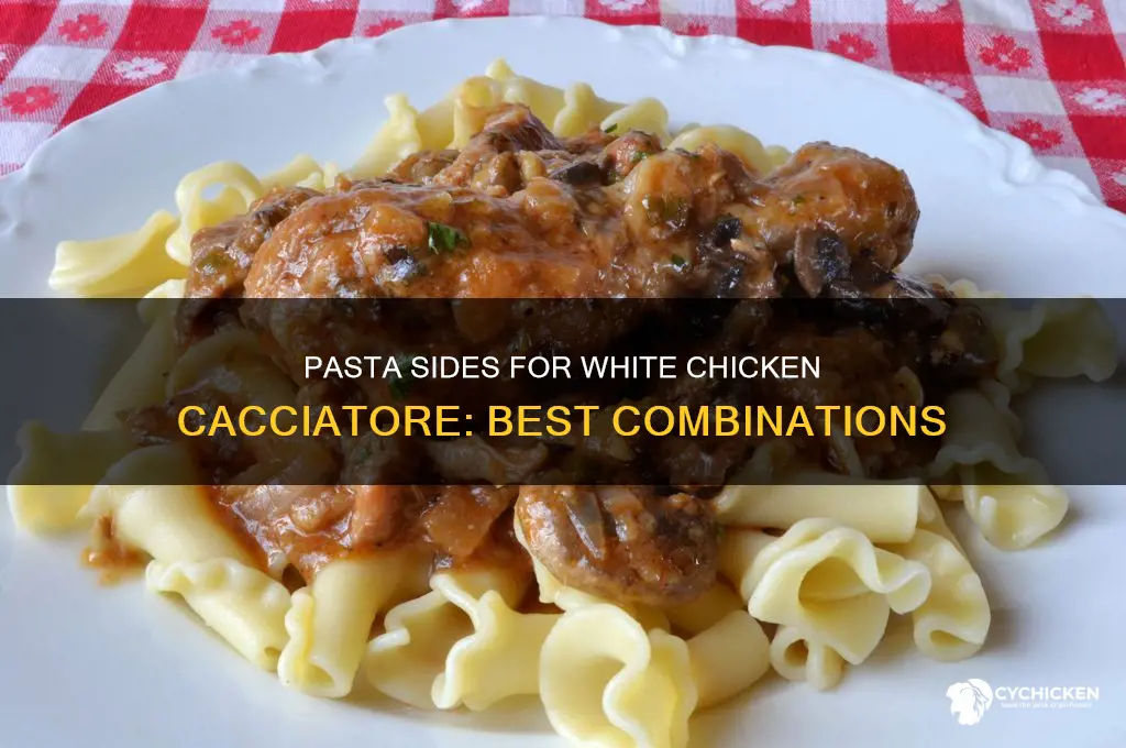 what pasta side dish goes with white chicken cacciatore