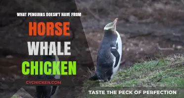 What Penguins Lack Compared to Other Creatures