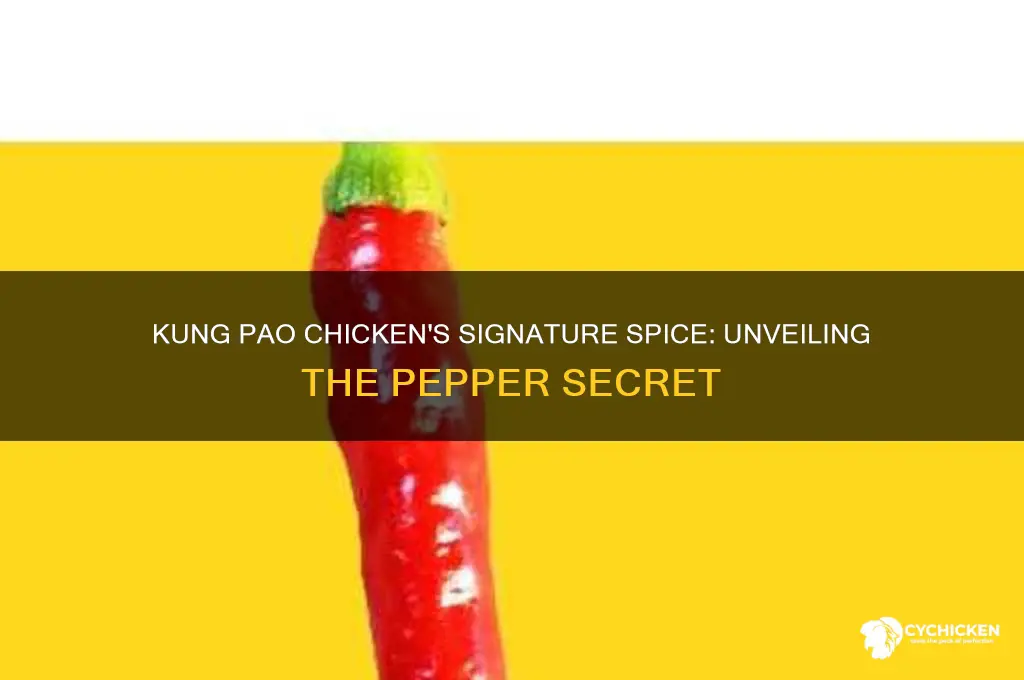 what pepper is in kung pao chicken