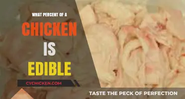 How Much of a Chicken Can You Eat? Edible Percentage Explained