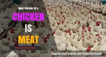 Understanding the Meat Yield: What Percent of a Chicken is Edible?