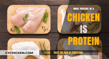 How Much Protein is in Chicken? A Nutritional Breakdown