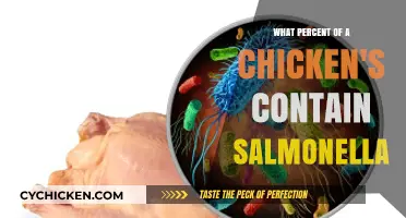 Understanding Salmonella Contamination in Chickens: Prevalence and Risks