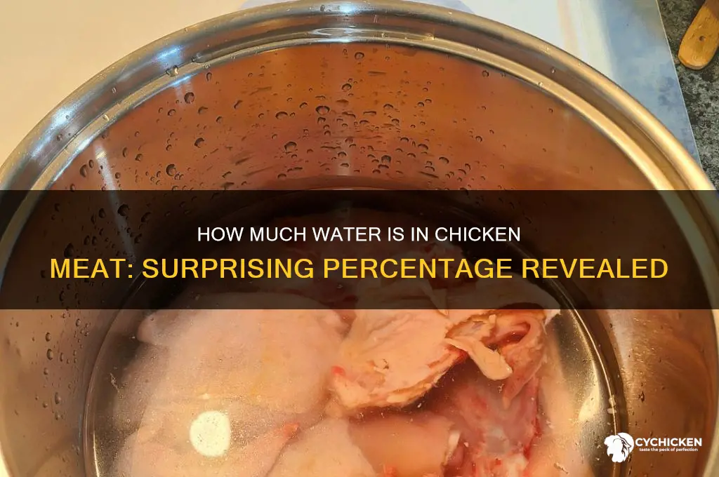 what percent of chicken meat is water