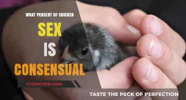 Exploring Consent in Chicken Mating: A Surprising Perspective