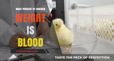 Understanding Chicken Blood Composition: Percentage of Weight Explained