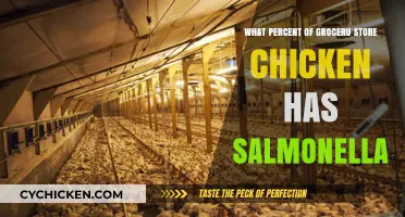 Salmonella Risk: How Much Grocery Store Chicken is Contaminated?