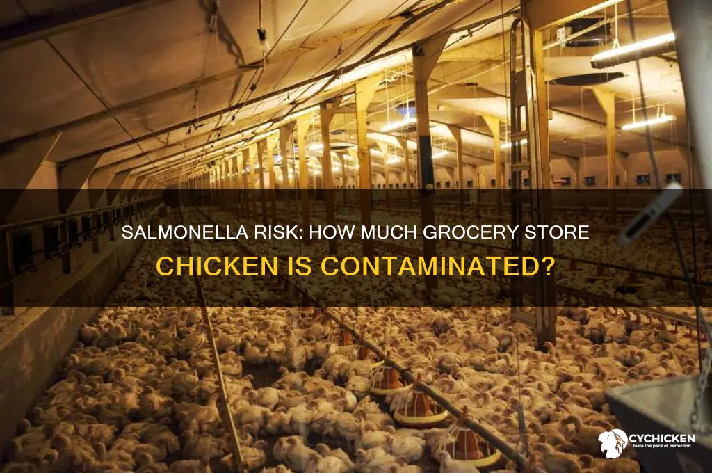 what percent of groceru store chicken has salmonella