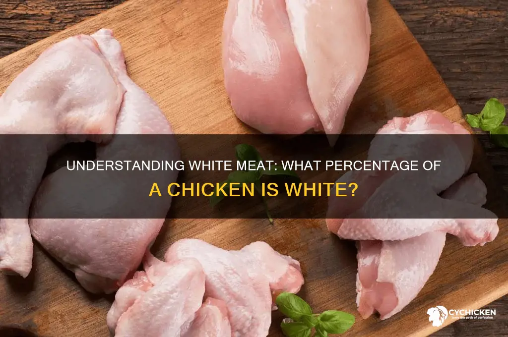 what percent of the chicken is white meat