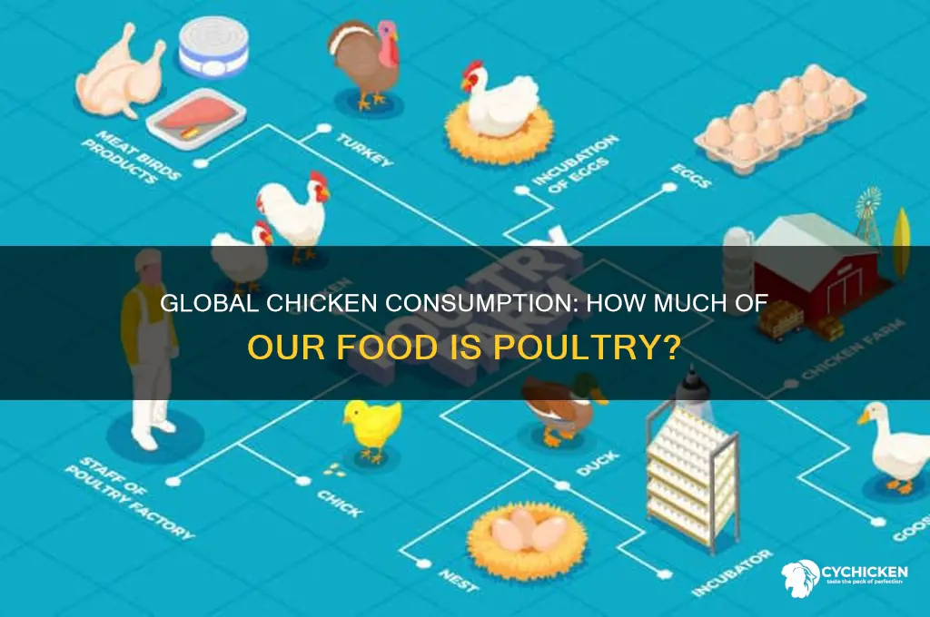what percent of the world food is chicken