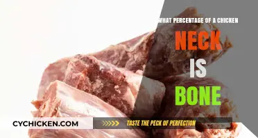Understanding the Bone Composition in a Chicken's Neck
