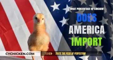 America's Chicken Imports: Uncovering the Percentage and Global Sources