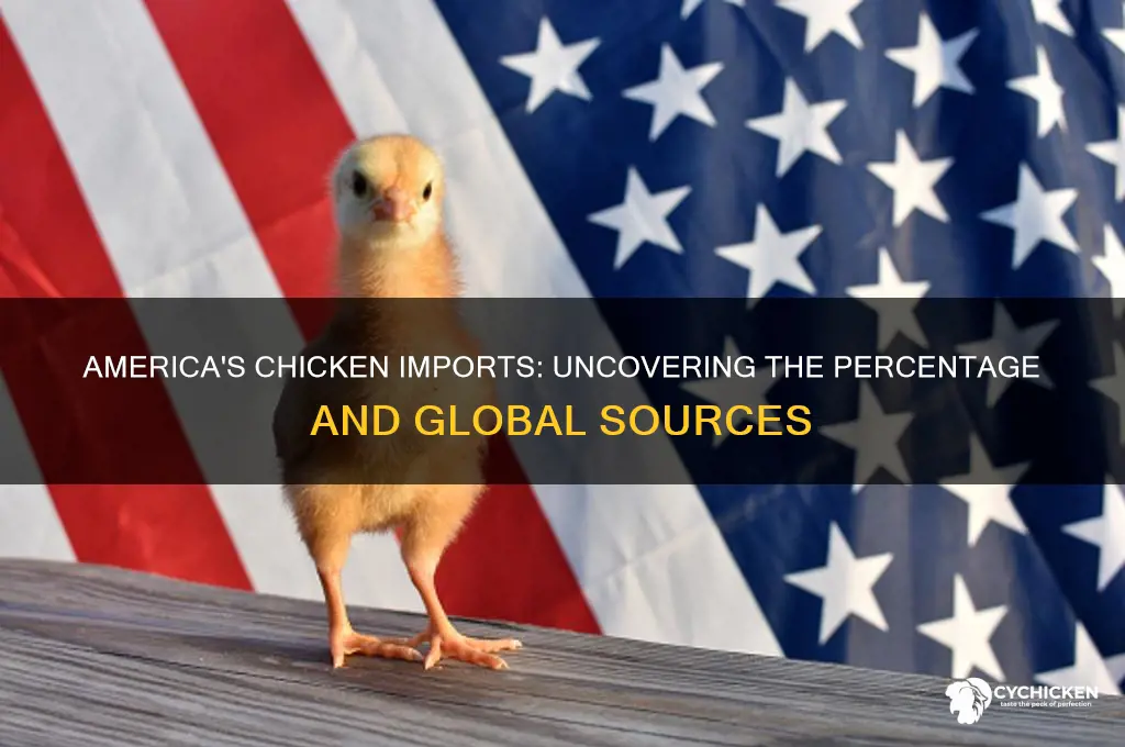 what percentage of chicken does america import