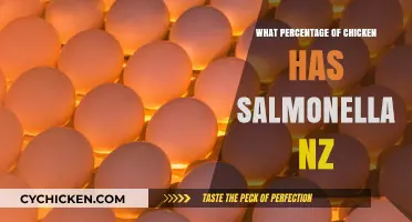 Salmonella in NZ Chicken: Understanding the Risk Percentage
