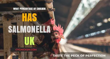 Understanding Salmonella Risks: UK Chicken Contamination Rates Explained