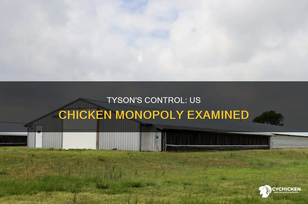 what percentage of chicken in us does tyson have