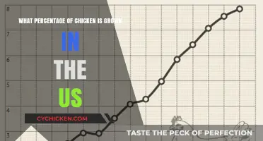 Chicken Farming in the US: What's the Percentage?