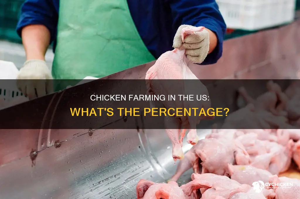what percentage of chicken is grown in the us
