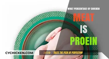 How Much Protein is in Chicken Meat: A Detailed Breakdown