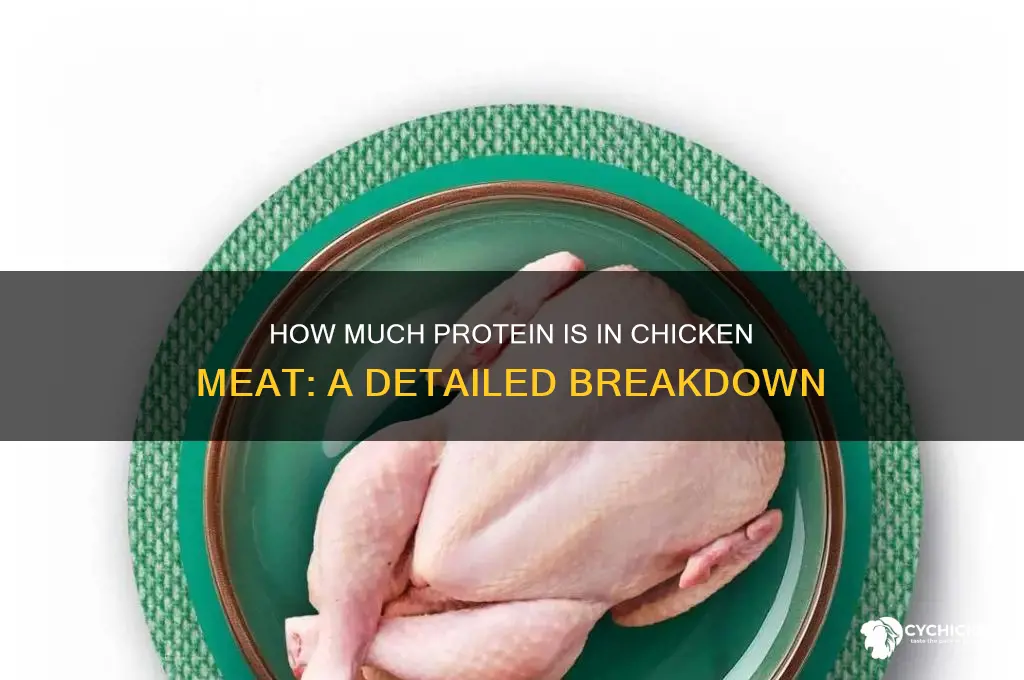 what percentage of chicken meat is proein