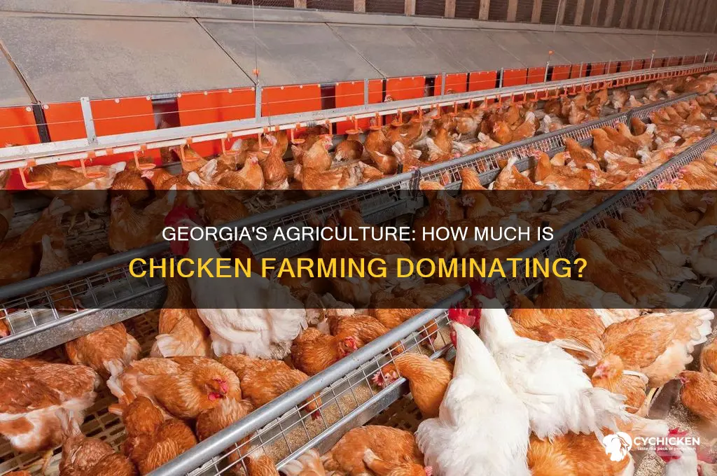 what perchent of georgias argcaltaure is chicken