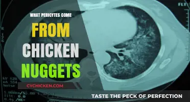 Unraveling the Myth: Do Chicken Nuggets Contain Pericytes?