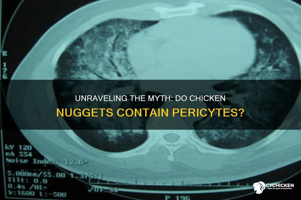what pericytes come from chicken nuggets
