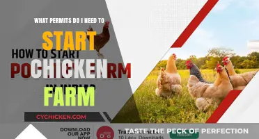 Permits Needed: Starting Your Chicken Farm