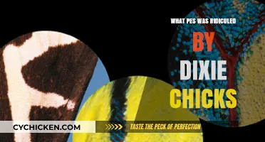 Dixie Chicks' Ridicule: The Controversial PES That Sparked Backlash