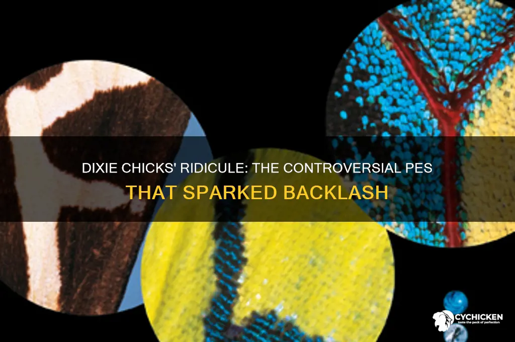 what pes was ridiculed by dixie chicks