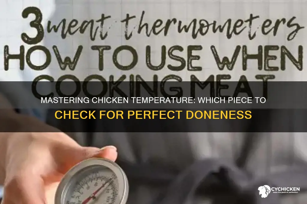 what piece of chicken do you temp