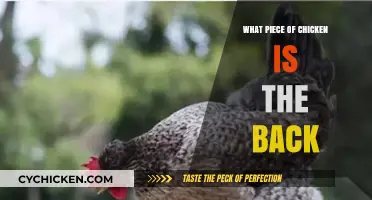 Understanding Chicken Anatomy: Identifying the Back Piece Explained