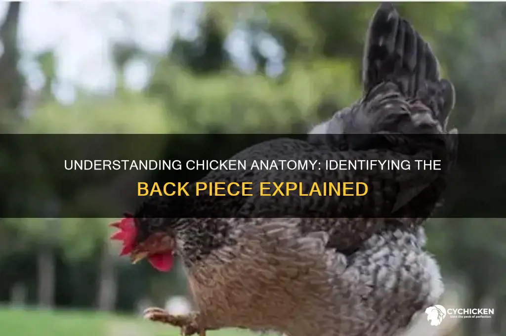 what piece of chicken is the back