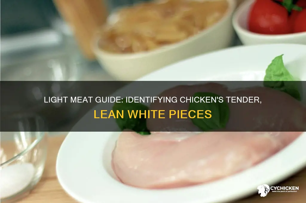 what pieces of a chicken are light meat
