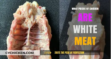 Understanding Chicken Anatomy: Which Parts Yield White Meat?
