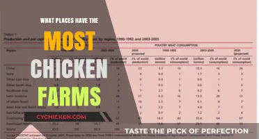 Top Chicken Farming Regions: Where Poultry Production Thrives Globally