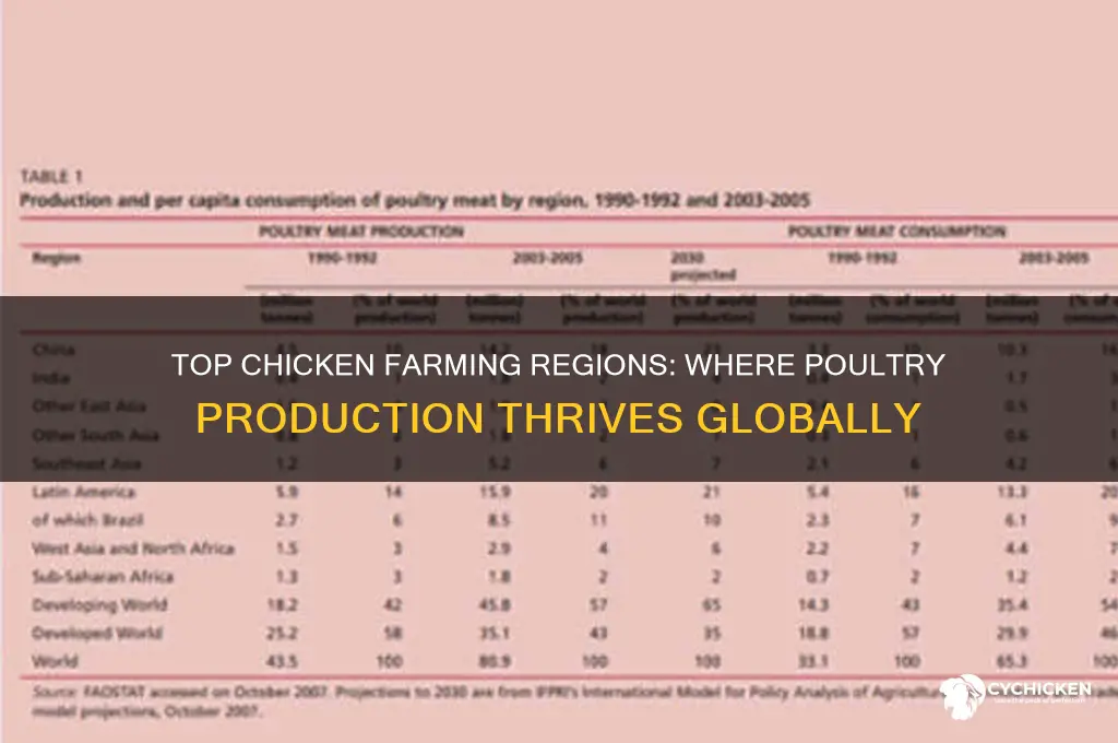 what places have the most chicken farms
