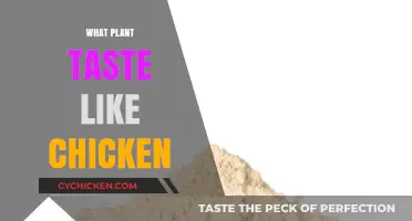 Discover the Surprising Plants That Taste Like Chicken: A Culinary Adventure