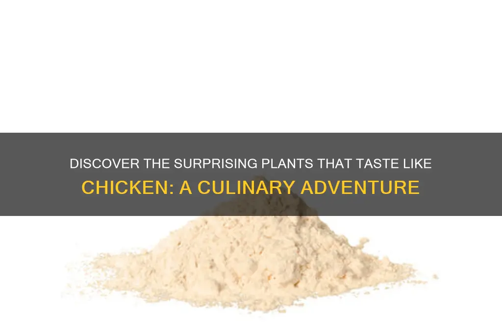 what plant taste like chicken
