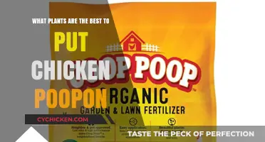 Best Plants for Chicken Manure Fertilizer