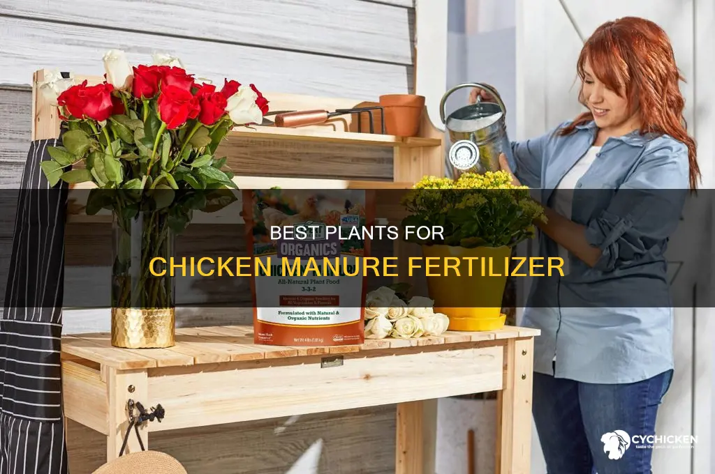 what plants are the best to put chicken poopon