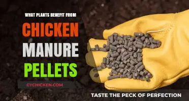 Boost Your Garden: Plants Thriving on Chicken Manure Pellets