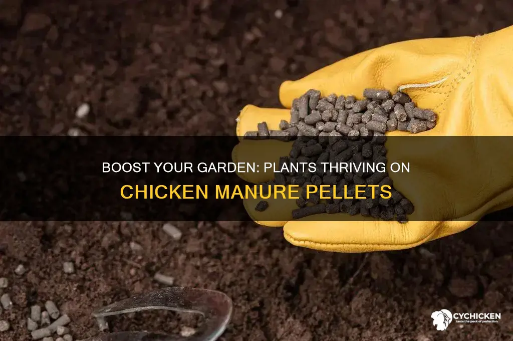 what plants benefit from chicken manure pellets