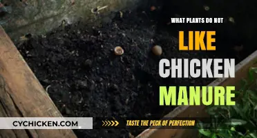 Plants That Dislike Chicken Manure: A Comprehensive Guide