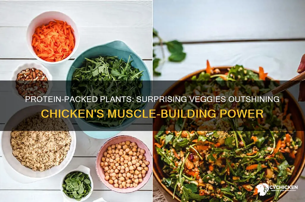 what plants have more protein than chicken